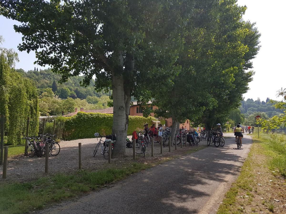 Il Glicine Sul Garda Villetta A Schiera Monzambano Kültér fotó